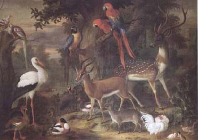 Jakob Bogdani Birds and deer in a Garden (mk25)